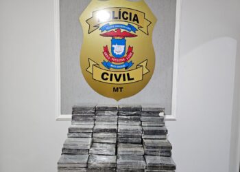 Em uma semana, forças de segurança de MT apreendem R$ 14 milhões em drogas e fazem prisões em três estados