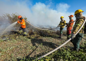 Bombeiros de MT continuam combate a quatro incêndios florestais no Estado neste domingo (21)