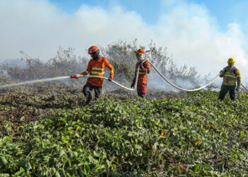 Bombeiros seguem atuando em duas frentes no combate ao incêndio no Porto Conceição nesta sexta-feira (12)
