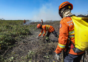 Corpo de Bombeiros segue combatendo incêndio no Pantanal nesta quarta-feira (17)