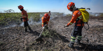 Corpo de Bombeiros combate oito incêndios florestais em Mato Grosso nesta quarta-feira (24)