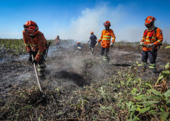Corpo de Bombeiros segue combatendo incêndio no Pantanal nesta segunda-feira (15)