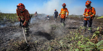 Corpo de Bombeiros segue combatendo incêndio no Pantanal nesta segunda-feira (15)
