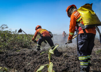Corpo de Bombeiros segue no combate a quatro incêndios florestais nesta segunda-feira (22)