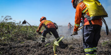 Corpo de Bombeiros segue no combate a quatro incêndios florestais nesta segunda-feira (22)