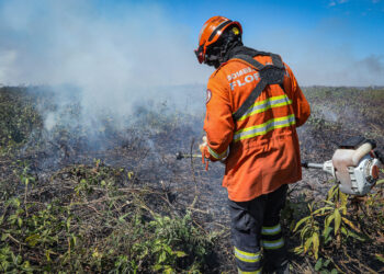 Corpo de Bombeiros continua combate ao incêndio em Porto Conceição nesta quinta-feira (18)