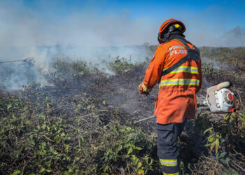 Corpo de Bombeiros combate seis incêndios florestais em Mato Grosso nesta terça-feira (23)