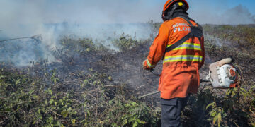 Corpo de Bombeiros combate seis incêndios florestais em Mato Grosso nesta terça-feira (23)