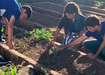 Estudantes que participam de projeto desenvolvido pela Seaf e Seduc desenvolvem sistemas de irrigação