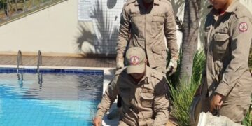 Bombeiros militares resgatam iguana que estava em piscina de condomínio
