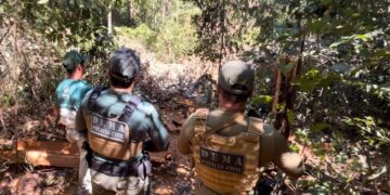 Polícia Civil flagra derrubada de árvores em área de preservação permanente no nordeste de MT