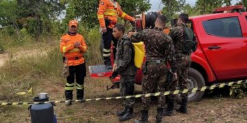 Corpo de Bombeiros capacitou 1,2 mil brigadistas para reforçar combate aos incêndios florestais