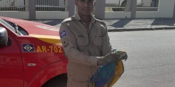 Corpo de Bombeiros Militar resgata arara-canindé com dificuldade de voar