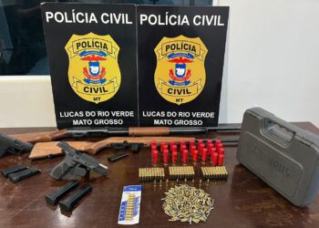 Polícia Civil apreende armas e munições de investigado por violência doméstica