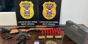 Polícia Civil apreende armas e munições de investigado por violência doméstica