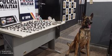 Cão farejador do Gefron auxilia na apreensão de drogas em Cáceres