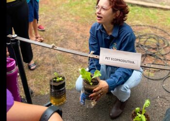 Inscrições para cursos de qualificação do Programa Bioeconomia se encerram nesta quinta-feira (18)