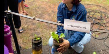 Inscrições para cursos de qualificação do Programa Bioeconomia se encerram nesta quinta-feira (18)