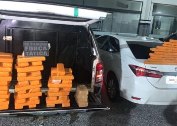 Polícia Militar apreende 3,9 mil quilos de drogas no primeiro semestre de 2024