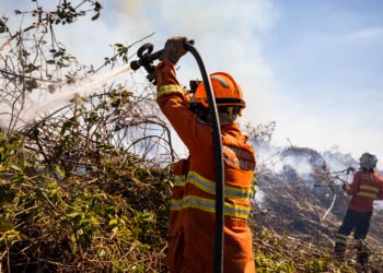 Corpo de Bombeiros extingue dois incêndios e combate outros 20 neste domingo (11)