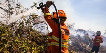 Corpo de Bombeiros extingue dois incêndios e combate outros 20 neste domingo (11)