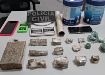 Polícia Civil prende jovem responsável por armazenar e distribuir entorpecentes em Alto Boa Vista