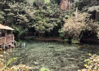 Sema analisará qualidade da água dentro do Balneário Estivado; rio nas proximidades está impróprio