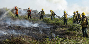 Corpo de Bombeiros combate 17 incêndios florestais em Mato Grosso nesta segunda-feira (12)