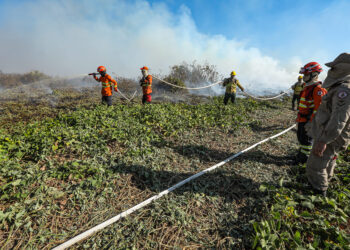 Corpo de Bombeiros combate 18 incêndios em Mato Grosso nesta quarta-feira (07)