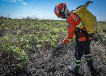 Bombeiros de MT combatem 27 incêndios florestais em Mato Grosso nesta quinta-feira (29)