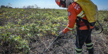 Bombeiros de MT combatem 27 incêndios florestais em Mato Grosso nesta quinta-feira (29)