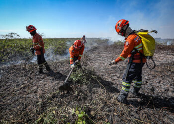 Corpo de Bombeiros extingue dois incêndios em Nova Mutum e combate outros 21 em MT nesta segunda-feira (05)