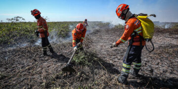 Corpo de Bombeiros extingue dois incêndios em Nova Mutum e combate outros 21 em MT nesta segunda-feira (05)