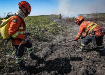 Corpo de Bombeiros convoca classificados para testes práticos do processo seletivo de brigadistas