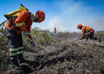 Corpo de Bombeiros combate 23 incêndios florestais nesta quinta-feira (22)