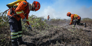 Corpo de Bombeiros combate 23 incêndios florestais nesta quinta-feira (22)