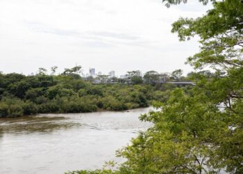 Defeso da Piracema em Mato Grosso será entre 1º de outubro e 31 de janeiro