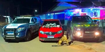 Forças de segurança prendem três suspeitos com 14 quilos de skank e causam prejuízo de R$ 87,8 mil ao crime