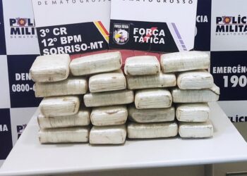 Homem é preso em flagrante pela PM transportando 20 tabletes de skank