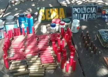 Sema realiza operação contra caça de jacaré e conduz duas pessoas à delegacia