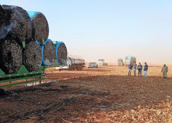Bombeiros extinguem incêndio em reboque carregado de algodão na BR-070