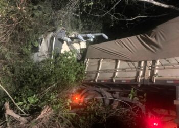 Bombeiros combatem incêndio em vegetação causado por colisão de carreta