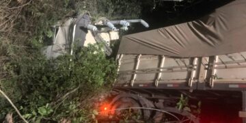 Bombeiros combatem incêndio em vegetação causado por colisão de carreta