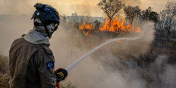 Deputado Sebastião Rezende indica parceria público-privada com empresas de aviação agrícola no combate aos incêndios