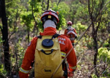 Bombeiros de MT extinguem dois incêndios e combatem outros 27 nesta quinta-feira (19)