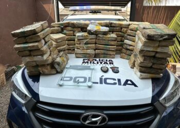 Polícia Militar apreende 100 quilos de supermaconha e prende três pessoas em Sinop