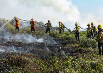 Corpo de Bombeiros extingue quatro incêndios florestais e combate outros 38 no Estado