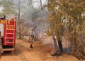 Corpo de Bombeiros combate incêndio em vegetação em Santo Antônio de Leverger