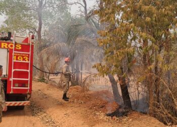 Corpo de Bombeiros combate incêndio em vegetação em Santo Antônio de Leverger