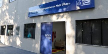 Indea confirma caso de raiva bovina em Porto Estrela